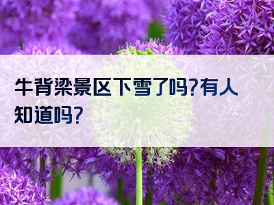 牛背梁景区下雪了吗？有人知道吗？