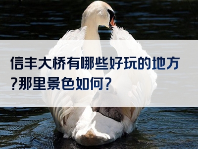 信丰大桥有哪些好玩的地方？那里景色如何？