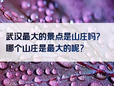 武汉最大的景点是山庄吗？哪个山庄是最大的呢？