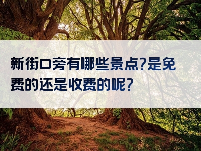 新街口旁有哪些景点？是免费的还是收费的呢？