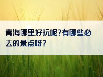 青海哪里好玩呢？有哪些必去的景点呀？