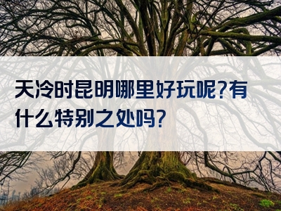 天冷时昆明哪里好玩呢？有什么特别之处吗？