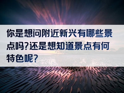 你是想问附近新兴有哪些景点吗？还是想知道景点有何特色呢？