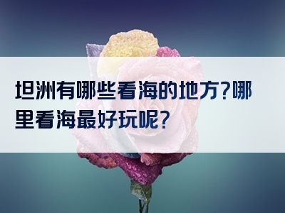 坦洲有哪些看海的地方？哪里看海最好玩呢？