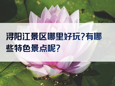 浔阳江景区哪里好玩？有哪些特色景点呢？