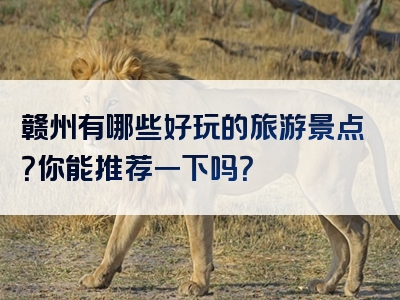赣州有哪些好玩的旅游景点？你能推荐一下吗？