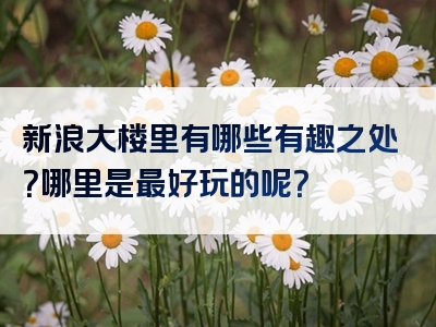 新浪大楼里有哪些有趣之处？哪里是最好玩的呢？