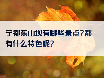 宁都东山坝有哪些景点？都有什么特色呢？