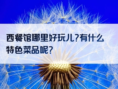 西餐馆哪里好玩儿？有什么特色菜品呢？