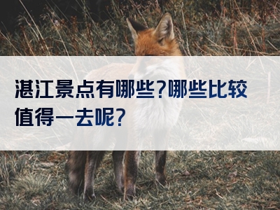 湛江景点有哪些？哪些比较值得一去呢？