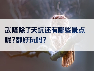 武隆除了天坑还有哪些景点呢？都好玩吗？