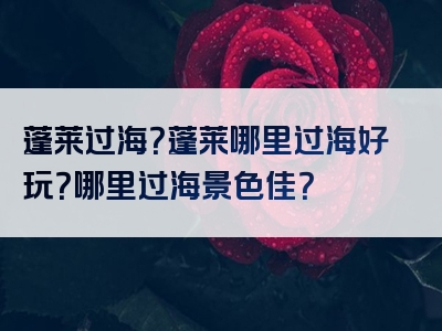 蓬莱过海？蓬莱哪里过海好玩？哪里过海景色佳？