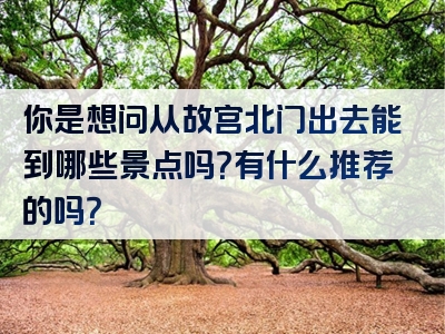 你是想问从故宫北门出去能到哪些景点吗？有什么推荐的吗？