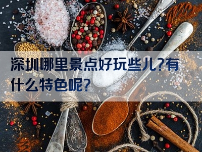 深圳哪里景点好玩些儿？有什么特色呢？