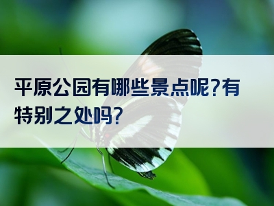 平原公园有哪些景点呢？有特别之处吗？