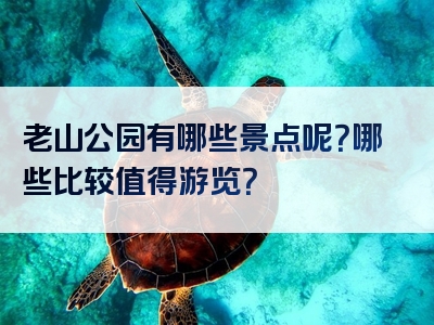 老山公园有哪些景点呢？哪些比较值得游览？