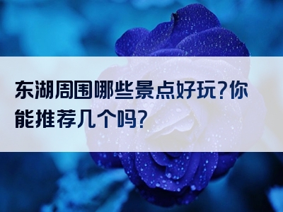 东湖周围哪些景点好玩？你能推荐几个吗？