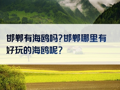邯郸有海鸥吗？邯郸哪里有好玩的海鸥呢？