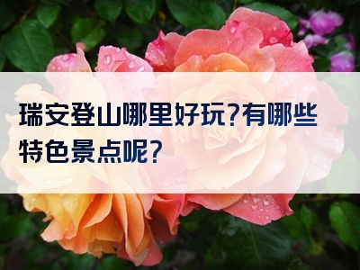 瑞安登山哪里好玩？有哪些特色景点呢？