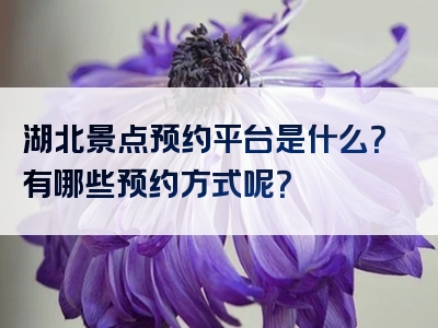 湖北景点预约平台是什么？有哪些预约方式呢？