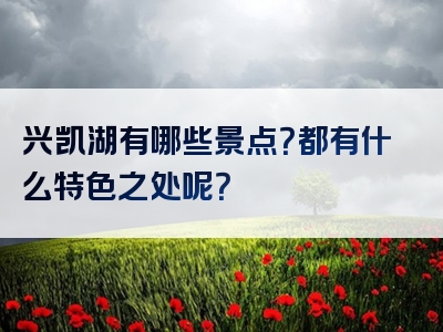 兴凯湖有哪些景点？都有什么特色之处呢？