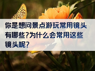 你是想问景点游玩常用镜头有哪些？为什么会常用这些镜头呢？