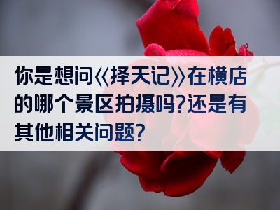 你是想问《择天记》在横店的哪个景区拍摄吗？还是有其他相关问题？