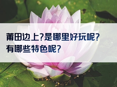 莆田边上？是哪里好玩呢？有哪些特色呢？