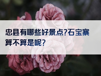 忠县有哪些好景点？石宝寨算不算是呢？