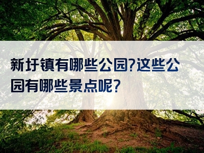 新圩镇有哪些公园？这些公园有哪些景点呢？