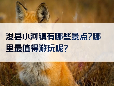 浚县小河镇有哪些景点？哪里最值得游玩呢？