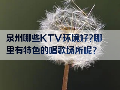 泉州哪些KTV环境好？哪里有特色的唱歌场所呢？