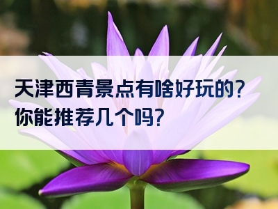 天津西青景点有啥好玩的？你能推荐几个吗？