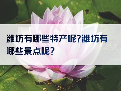 潍坊有哪些特产呢？潍坊有哪些景点呢？