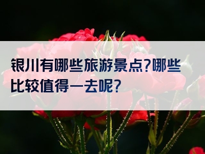 银川有哪些旅游景点？哪些比较值得一去呢？
