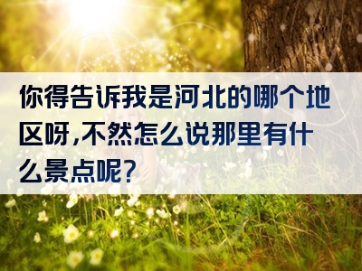 你得告诉我是河北的哪个地区呀，不然怎么说那里有什么景点呢？