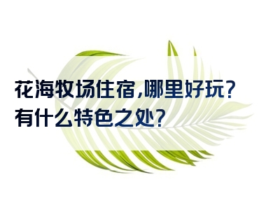 花海牧场住宿，哪里好玩？有什么特色之处？