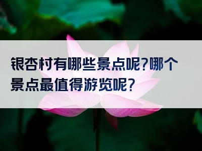 银杏村有哪些景点呢？哪个景点最值得游览呢？