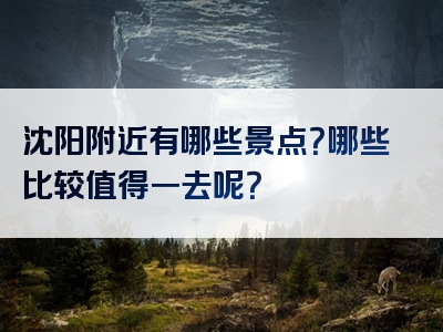 沈阳附近有哪些景点？哪些比较值得一去呢？