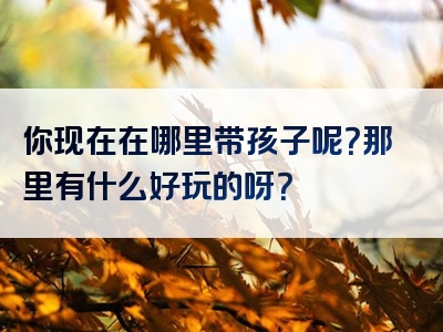 你现在在哪里带孩子呢？那里有什么好玩的呀？