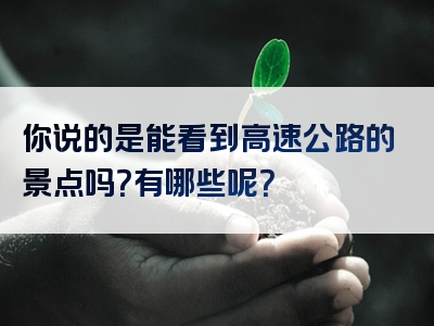 你说的是能看到高速公路的景点吗？有哪些呢？