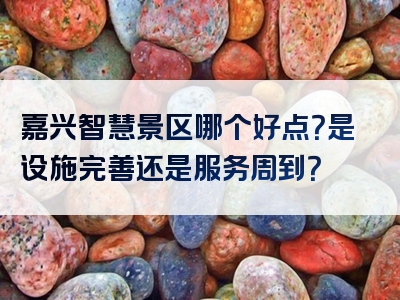 嘉兴智慧景区哪个好点？是设施完善还是服务周到？