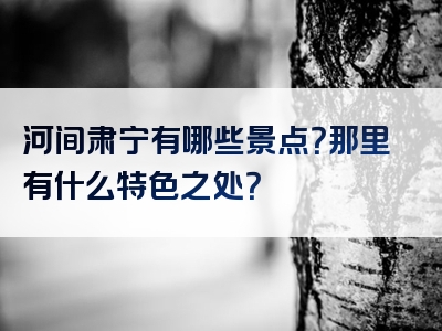 河间肃宁有哪些景点？那里有什么特色之处？