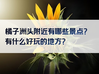 橘子洲头附近有哪些景点？有什么好玩的地方？