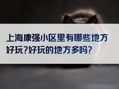 上海康强小区里有哪些地方好玩？好玩的地方多吗？