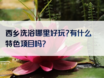 西乡洗浴哪里好玩？有什么特色项目吗？