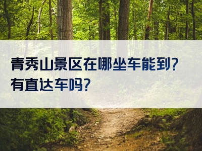 青秀山景区在哪坐车能到？有直达车吗？