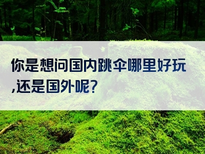 你是想问国内跳伞哪里好玩，还是国外呢？
