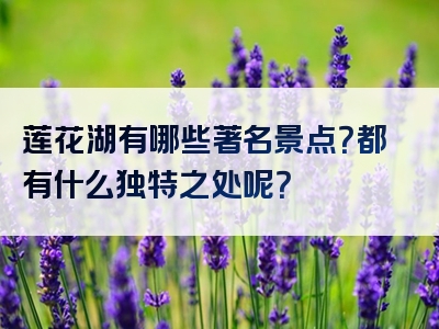莲花湖有哪些著名景点？都有什么独特之处呢？
