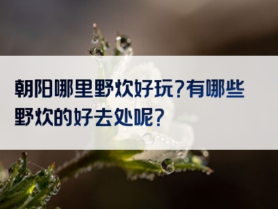 朝阳哪里野炊好玩？有哪些野炊的好去处呢？